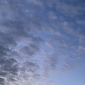 Meet your Posher, Fred